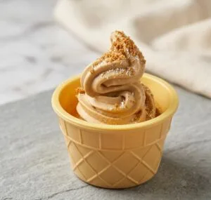 Creamy No-Cream Homemade Speculoos Ice Cream 4 Creamy No-Cream Homemade Speculoos Ice Cream